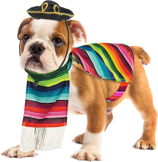 Mexican Serape Dog Costume - Cinco De Mayo Poncho and Sombrero Costumes for Pets (Size L)