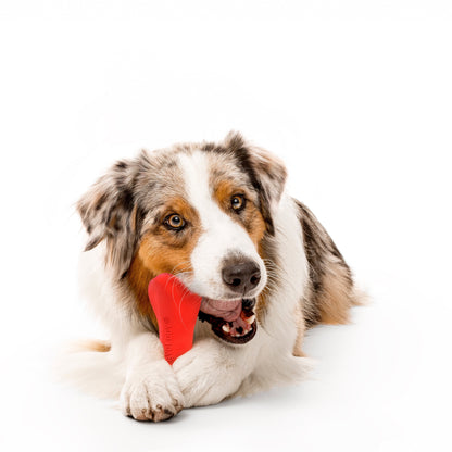 Play by  Dog Toys | Interactive Dog Toy Bone | Scented Crunchy Bone, Large