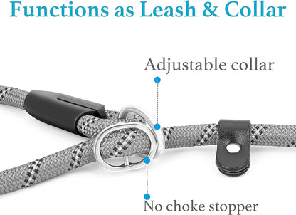 Durable Slip Lead Dog Leash with Padded Handle and Highly Reflective Threads