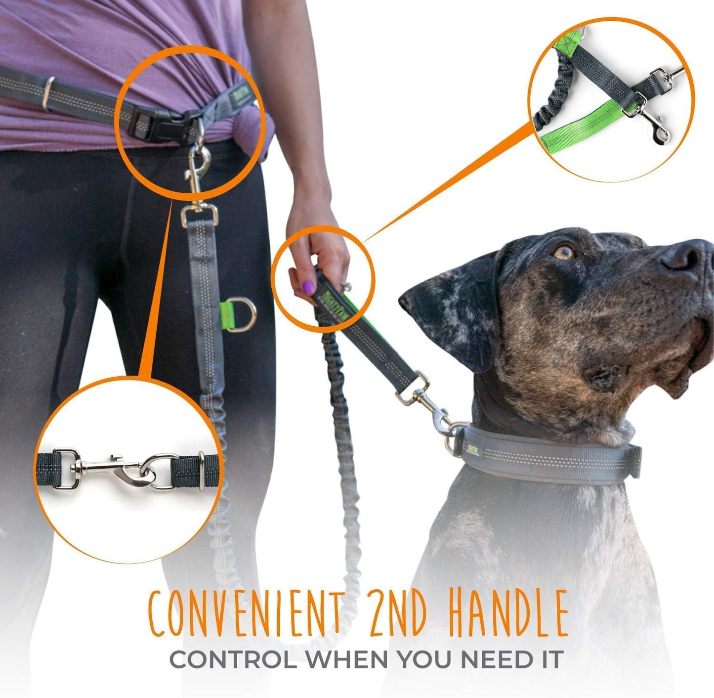 Hands Free Dog Leash | Bungee Waist Leash for Dog Walking.