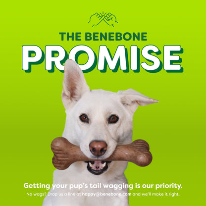 Essentials Bone Bacon M/L